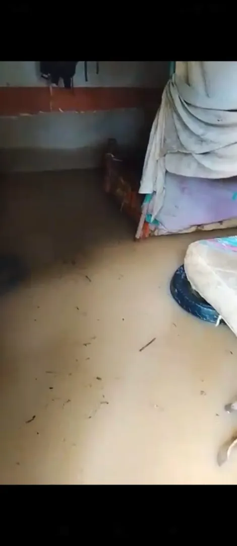 Foto de refugio